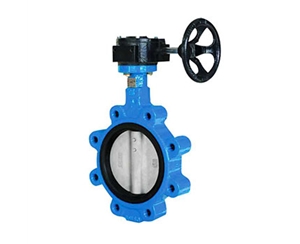 LT型蝸輪對夾式蝶閥D37L1X-6/10/16